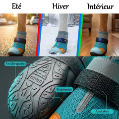 🐾 Light-Up Pet Shoes