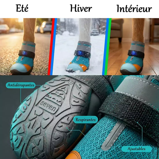🐾 Light-Up Pet Shoes