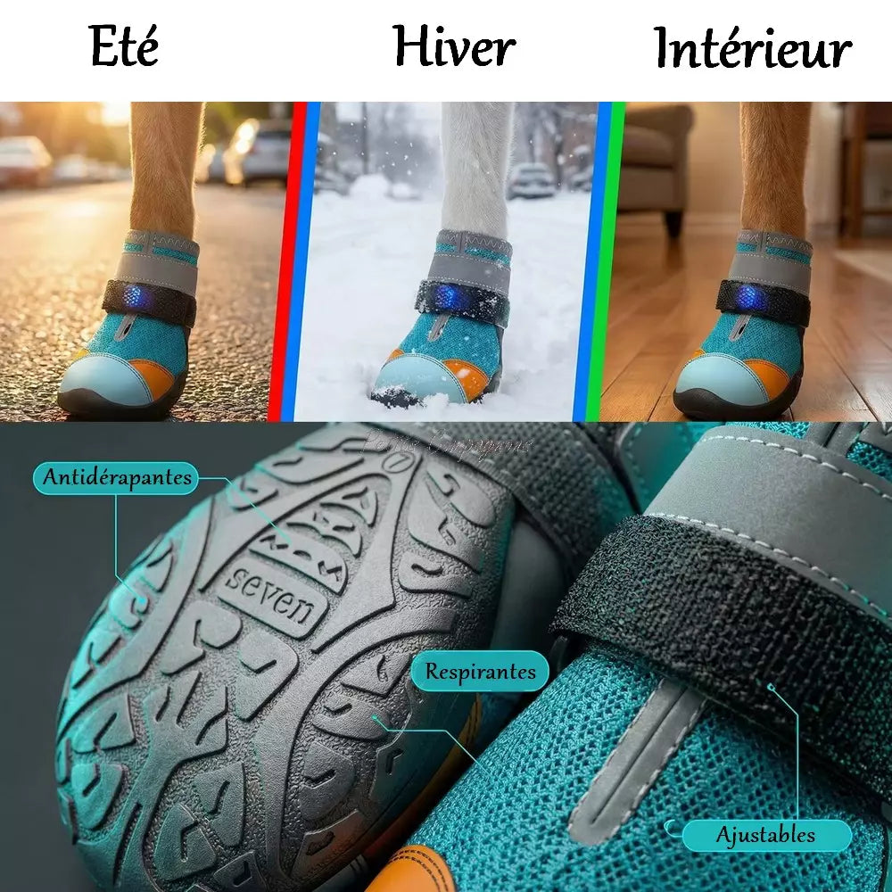 🐾 Light-Up Pet Shoes
