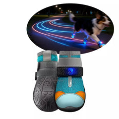 🐾 Light-Up Pet Shoes