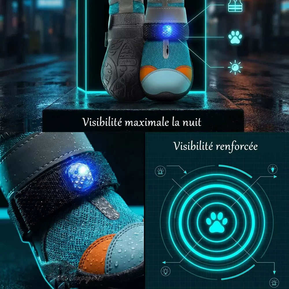 🐾 Light-Up Pet Shoes
