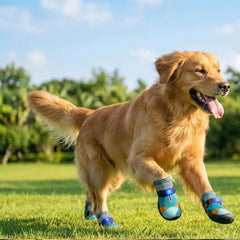 🐾 Light-Up Pet Shoes