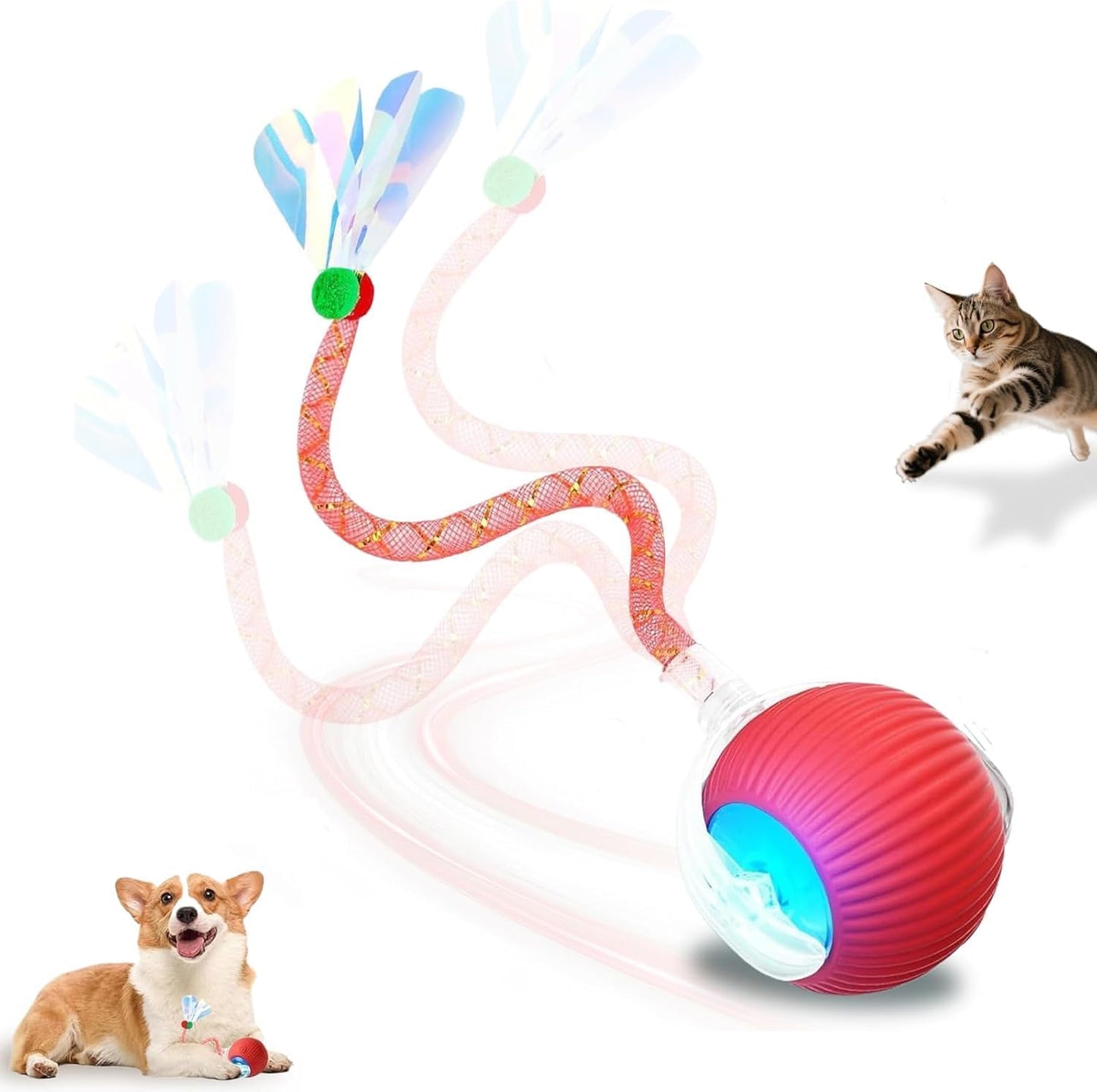 USB Rechargeable Smart Cat Toy Ball, 360° Rotation Automatic Moving Chase Toy, Obstacle Avoidance Interactive Play with 4 Spiral Springs, Enrichment Toys for Indoor Cats, Puppies & Small Dogs (Red)