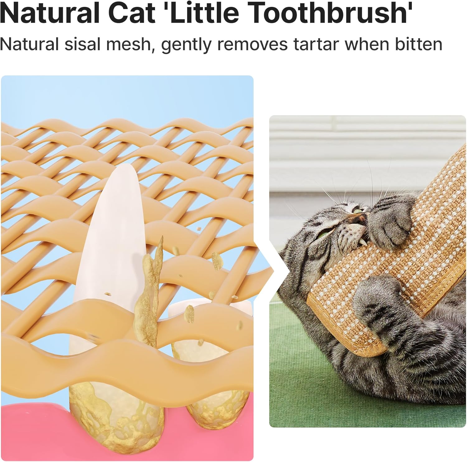 Potaroma Cat Toys Pack of with 6000mg A+ Organic Catnip, Soft Sisal Material Indoor Kitten Scratching and Kicker Toys, Drives Bored Cats Crazy with Fun Interactive Chew