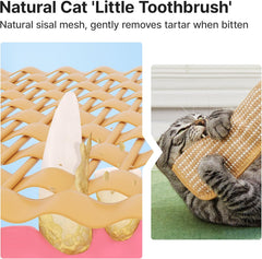 Potaroma Cat Toys Pack of with 6000mg A+ Organic Catnip, Soft Sisal Material Indoor Kitten Scratching and Kicker Toys, Drives Bored Cats Crazy with Fun Interactive Chew