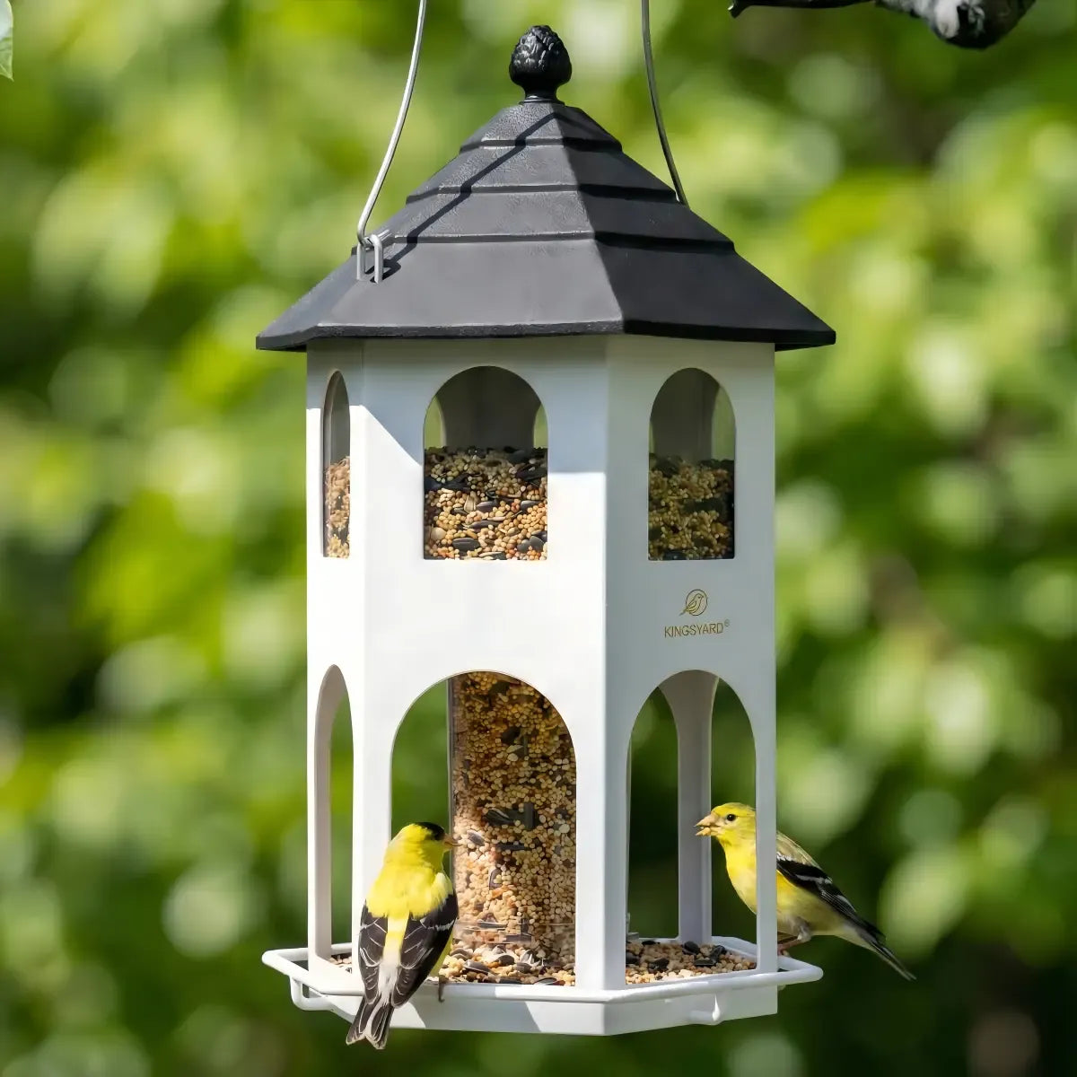 Weatherproof Metal House Bird Feeder