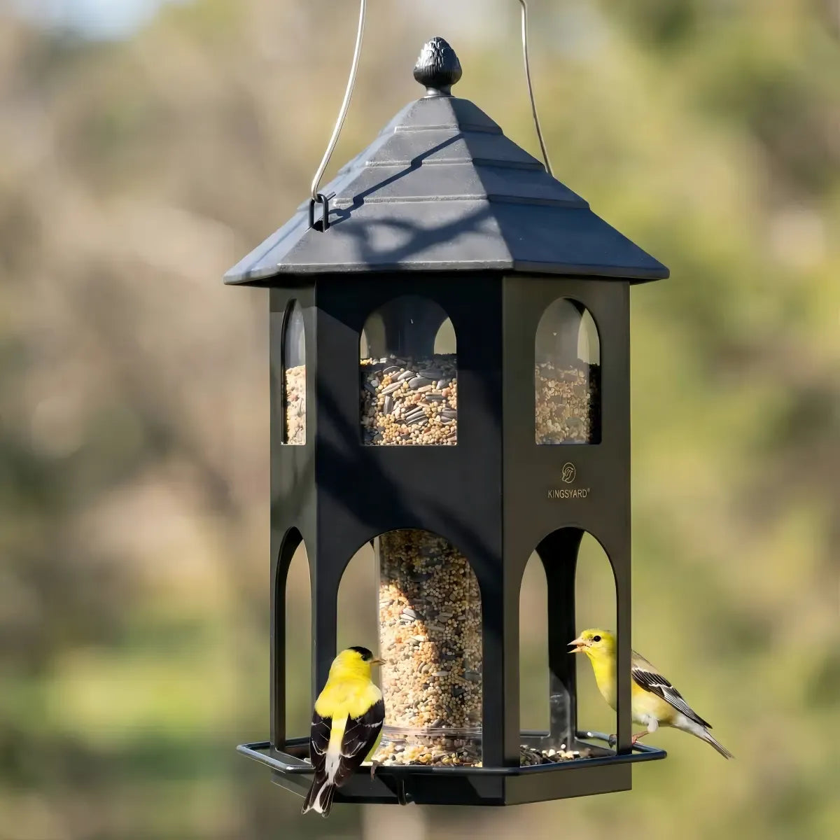 Weatherproof Metal House Bird Feeder